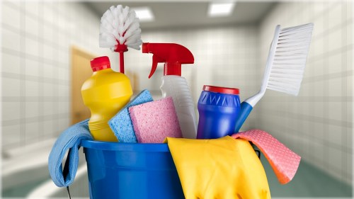 Deep carpet cleaning process for a Bowes Park property