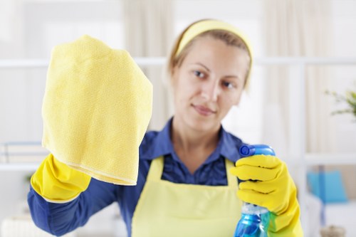 Curtain cleaning service for a Bowes Park home interior