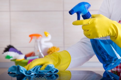 Carpet cleaning service terms introduction with booking agreement