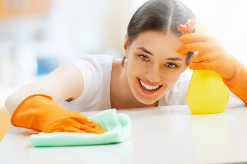 Cleaning professional handling products with care and protective equipment
