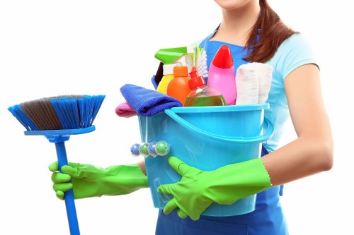 Steam carpet cleaning equipment in a Bowes Park home