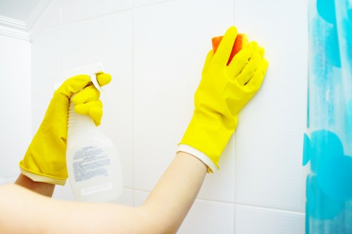 Bowes Park carpet cleaner treating a living room carpet