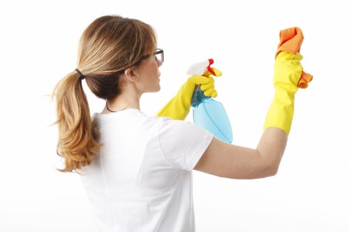 Specialist cleaning tools for pet odour removal