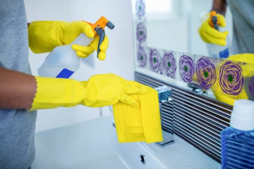 Upholstery cleaning equipment in a Bowes Park home
